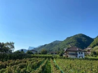 Pension Rebgut 
