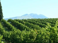 Agriturismo CГ  Donzella 
