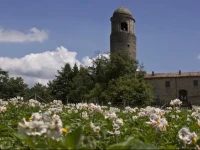 Montagna Verde 