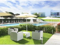 Domino Suite 