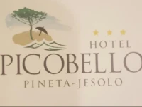 Hotel Picobello 