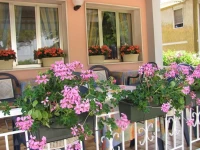 Hotel Villa Veneta 