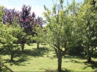 Tenuta Lio Maggiore 