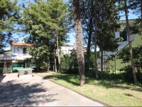 Vear Hausing Apartments- Scacchi 