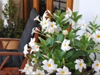 B&B DIMORA DEI CARLI 