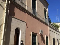 Il fico dindia 