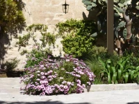 Il Giardino Di Benedetta 