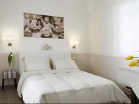 Spiriti Suite 