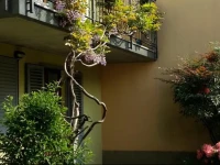 B&B Como Lake Cottage 