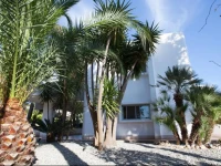 Phalanthos B&B 