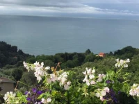 Apartment Paradiso sul mare 