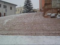 Albergo Antica Rosa 