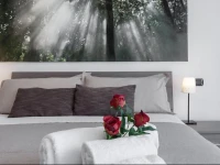 Suitelowcost 