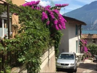 Casa Limone 