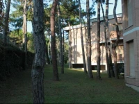 Residence Tulipano 
