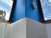 Il Pesce e il Geco 