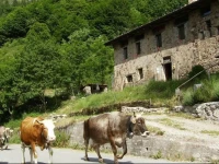 Agriturismo Le Fratte 