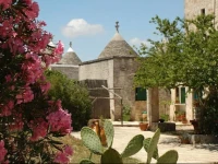 Masseria Contino 