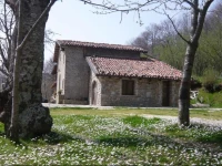 Agriturismo il Vignale 