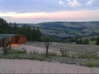 Gran Bosco 