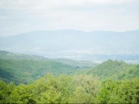 La Ghiandaia Casa Vacanza 