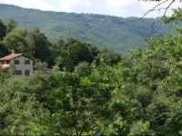 The Stone Lodge in the Wood 