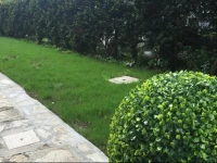A Quattro Passi Dalle Mura 