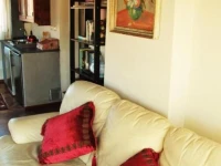 Altana Panoramic 