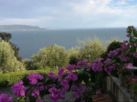 Villa Adele 