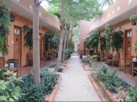 Surfers Guesthouse 