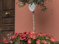 B&B Emporio 