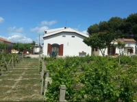 Serra E Mesu Bed And Breakfast 