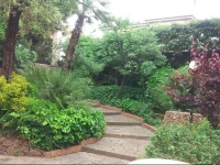 Villa Il Boschetto 