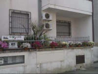 B&B Salento Vacanze 