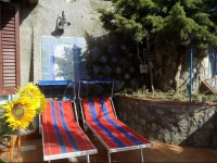 Maison De Fleurs 