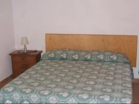 Case Virgi 