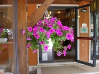 Hotel Villa Florida 
