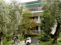 Large apartment in an olive trees garden 