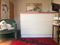 Bella Vista Motel Blenheim 4*