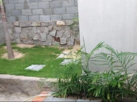 Thao Dung House 2 