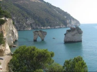 Del Corso 1 