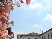 B&B al Borgo 