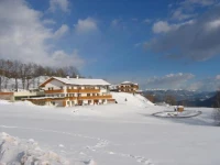 Bergdiamant 