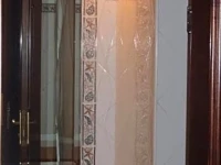 illicini 