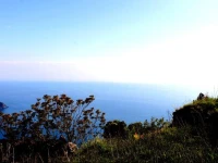 Il Vecchio e Il Mare B&B Maratea 