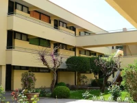 Apartments Via Dei Platani 