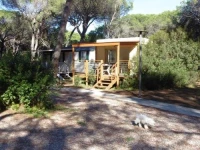 Camping Eden 