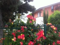 B&B Foresteria del Muraglione 