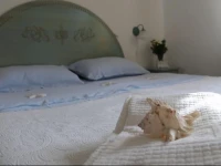 Residence Costa Ruja 