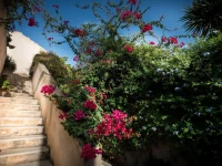 La Moresca Maison De Charme 